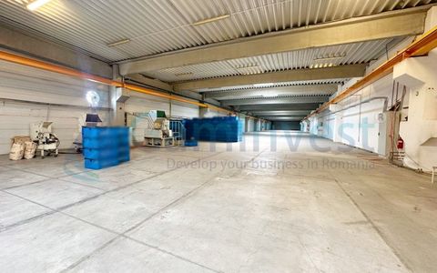 Hala industriala de inchiriat, Parc Industrial, Oradea, Bihor