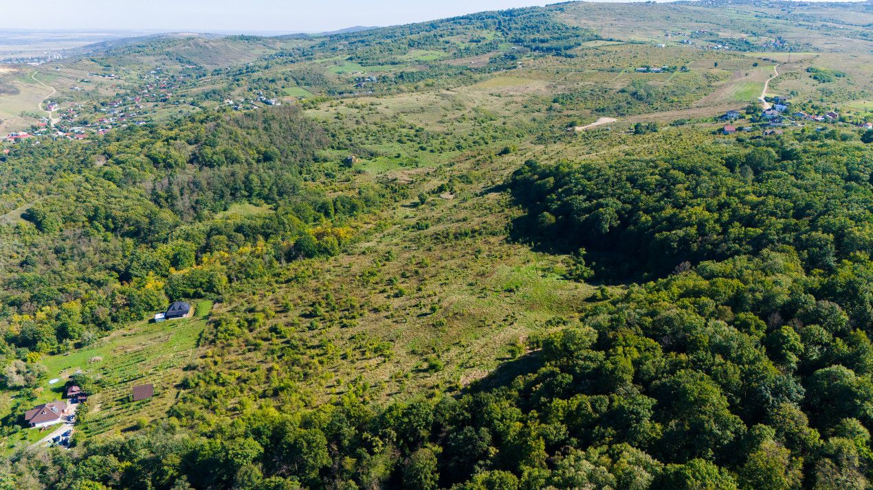 Vânzare Teren Intravilan 11.3 Ha Bucium PUZ+CU valabile Case D+P+E+M – fotografia 5 din 7