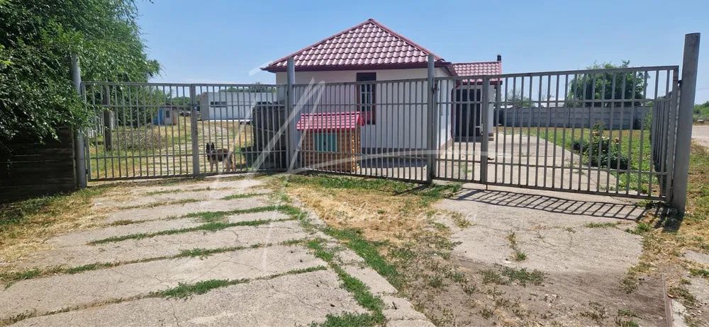 Teren langa padure,aproape de Bucuresti 10 275 mp de liniste. – fotografia 5 din 8