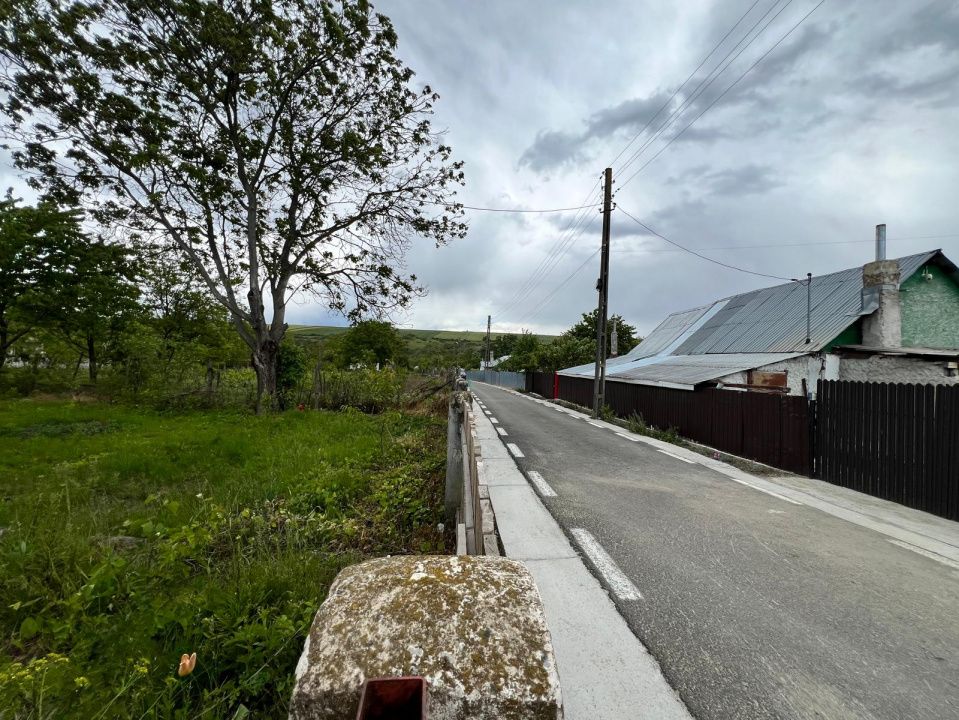 Casă + teren 4430 mp, vie și pomi fructiferi, 22 km de Tecuci – fotografia 6 din 36