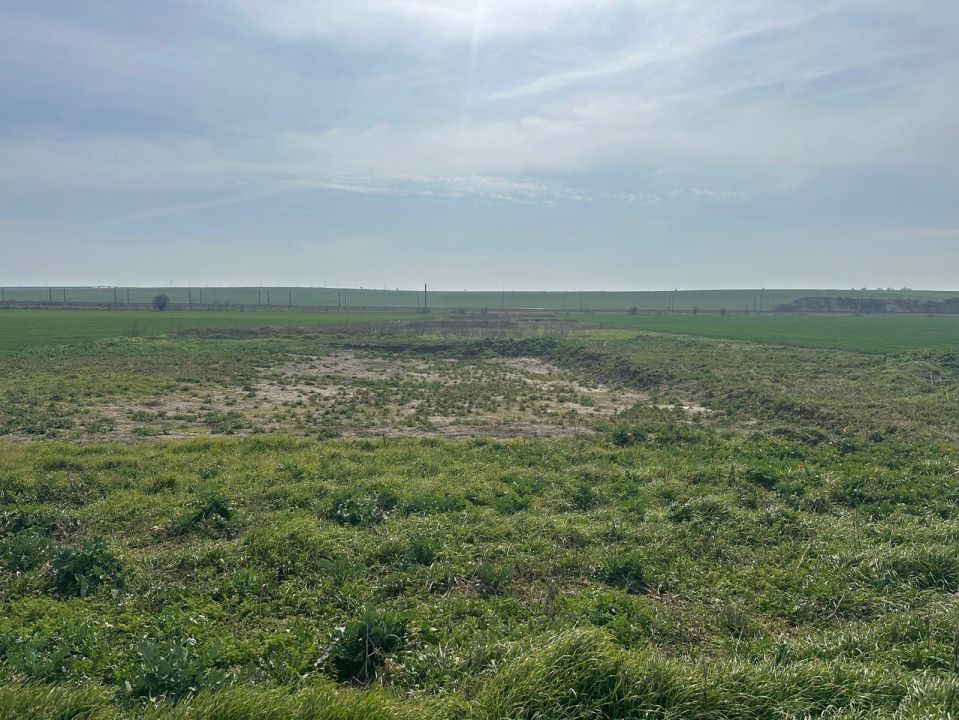Teren intravilan 10.000 mp | DN | in Zona Volvo - Hala Neagră – fotografia 10 din 10