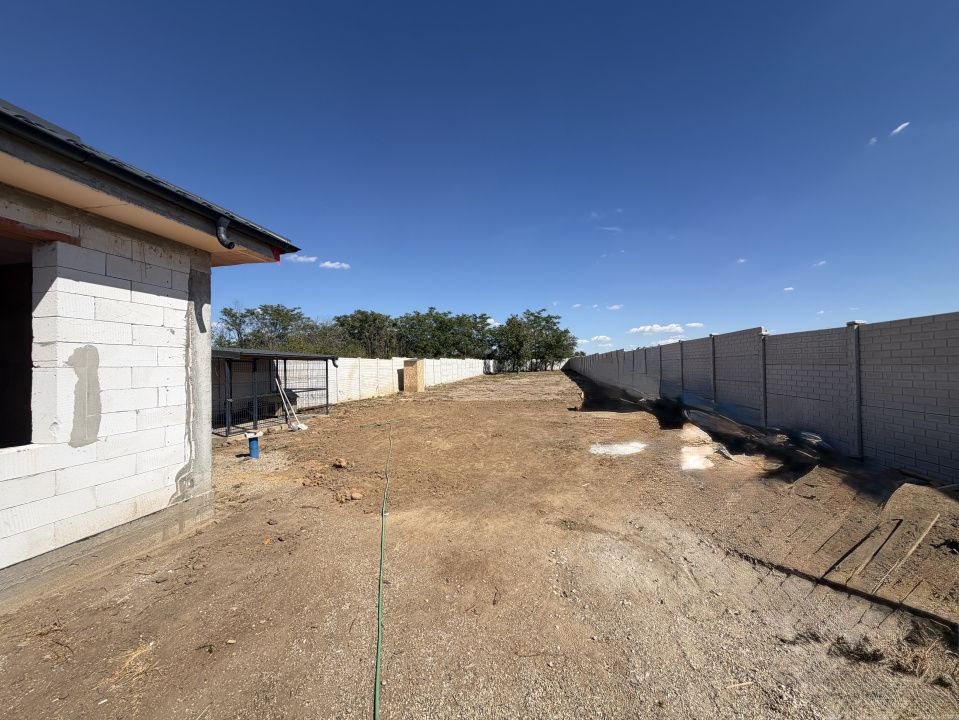 Casa la rosu pe  parter, 133mp utili, anexa 39mp, Carcea, zona profi – fotografia 5 din 12