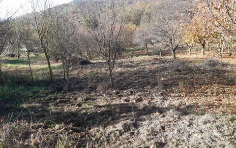 Teren cu acces facil și priveliște panoramică în Podgoria Oradea