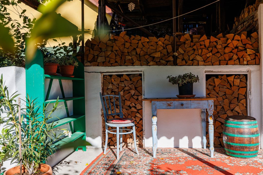 Casă individuală, teren 1.929 mp, acces spre Bega – Remetea Mare – fotografia 35 din 43