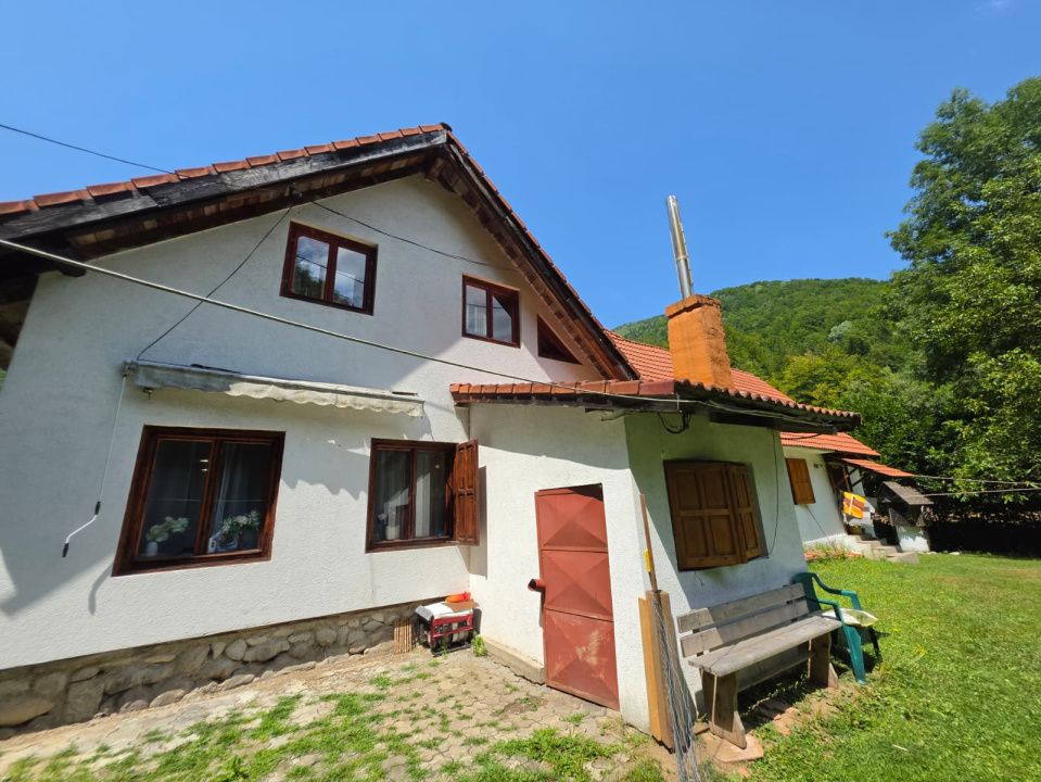 🏡 PROPRIETATE EXTRAORDINARĂ– LOTRIOARA, JUDEȚUL SIBIU! 🌲 – fotografia 14 din 72