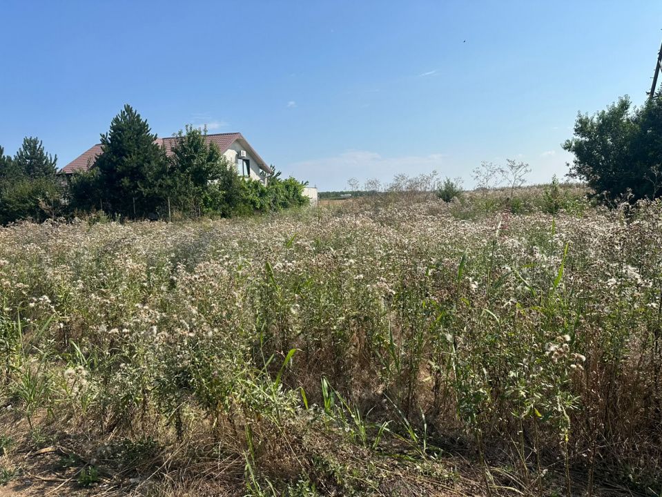 Teren intravilan de vânzare în Costinești – 417 mp, deschidere 20 ml – fotografia 3 din 16