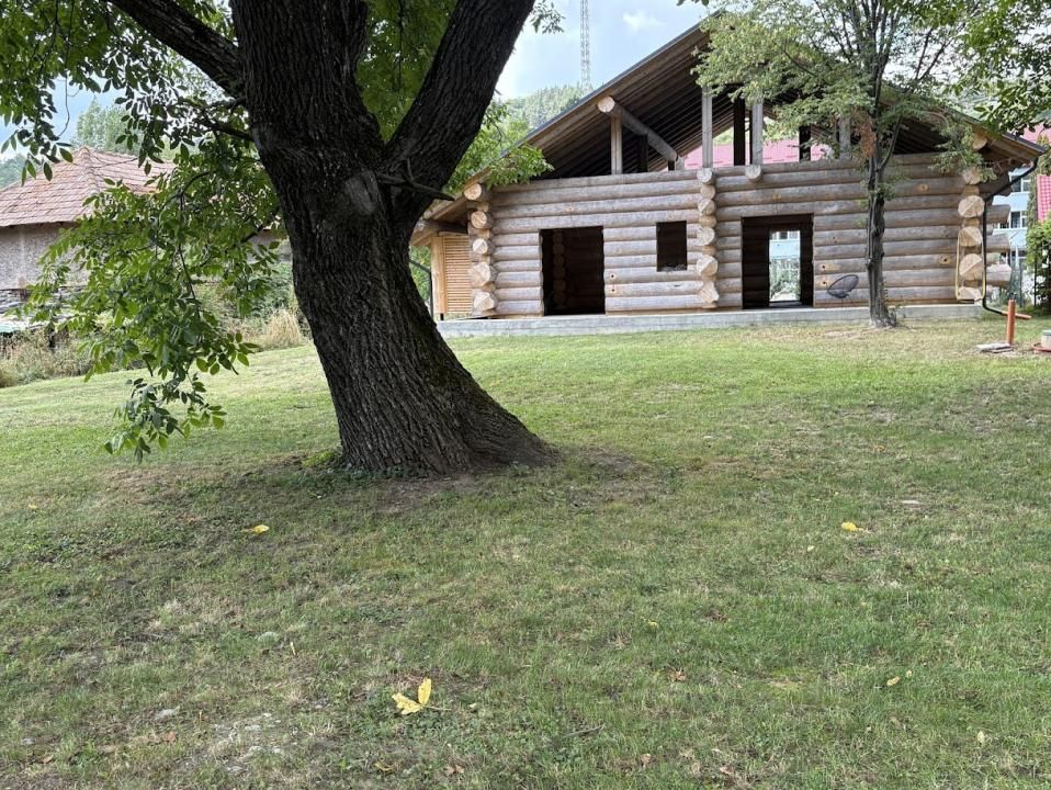 PROPRIETATE PREMIUM | TRANSFĂGĂRĂȘAN | ACCES DIRECT LA RÂUL ARGEȘ – fotografia 6 din 10