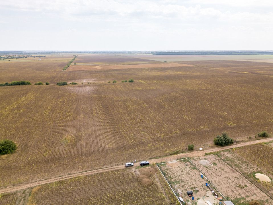 DASCALU – TEREN INTRAVILAN 11300 MP, INVESTITIE! – fotografia 1 din 18