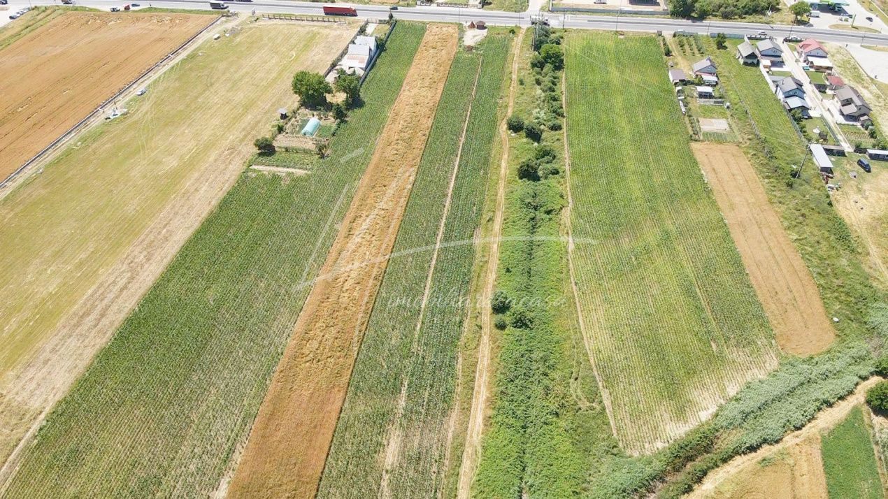 Teren cu potențial de dezvoltare –7427 mp în Argeșelu, Mărăcineni, județul Arges – fotografia 9 din 11
