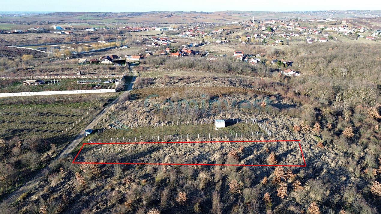 Teren intravilan in apropiere de padure, Paleu, Bihor – fotografia 3 din 3