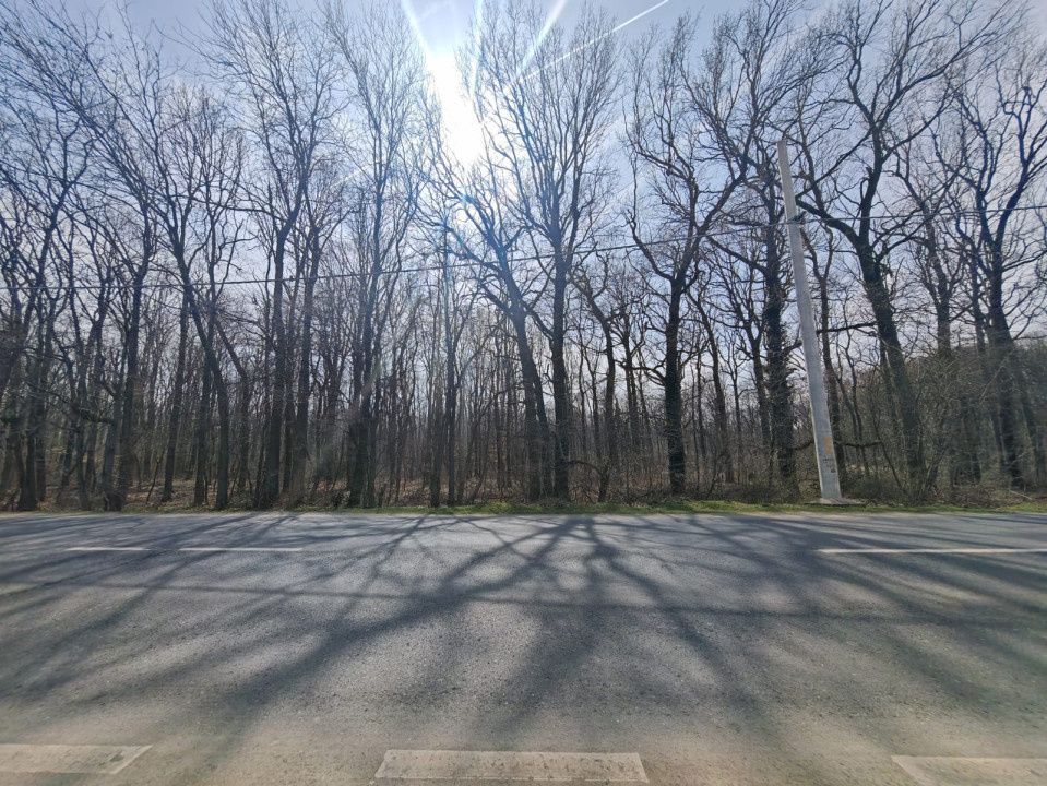 OPORTUNITATE -Teren de Vis la Marginea Pădurii – 5000 mp în Ciorogârla – fotografia 6 din 7