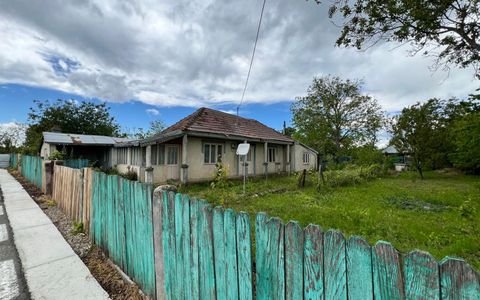 Casă + teren 4430 mp, vie și pomi fructiferi, 22 km de Tecuci
