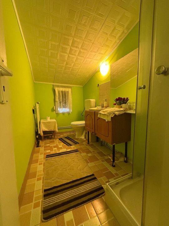 Apartament spatios, 3 camere, cu boxa pentru depozitare si gradina - Iosefin – fotografia 6 din 8