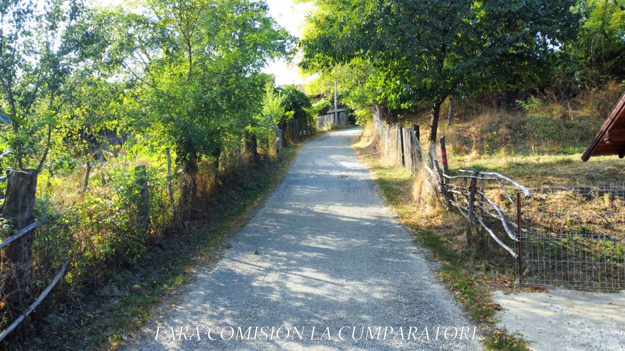 TEREN 5274 MP, CADRU NATURAL MINUNAT – fotografia 16 din 17