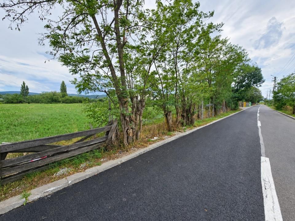 Teren intravilan drept 12.432mp, drum asfalt, utilitati, zona Centura Grigorescu – fotografia 1 din 3