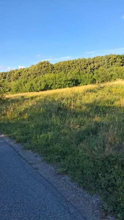 Teren intravilan 6297mp în Com. Mociu , Zorenii de Vale – fotografia 9 din 13