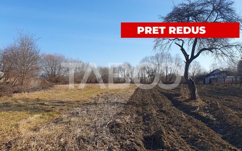 Teren intravilan 3600 mp doua fronturi stradale in Voila