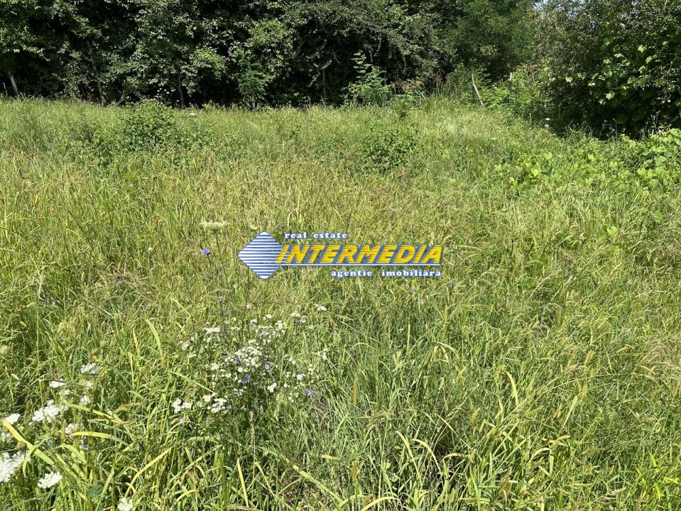 Teren Intravilan | 850 mp. | Alba Micesti | Apa Curent | Gaz | Panoramic – fotografia 7 din 9