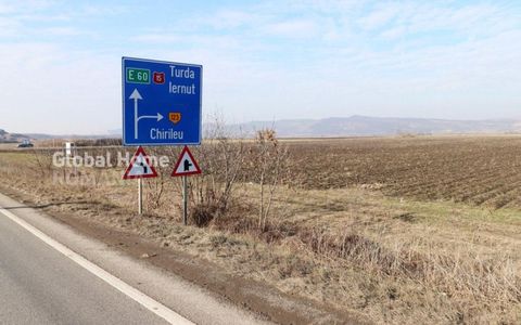 Teren 25000 MP | TG. MURES-SANPAUL | INTRAVILAN | 98 m acces DN 15 | A3 la 5 km