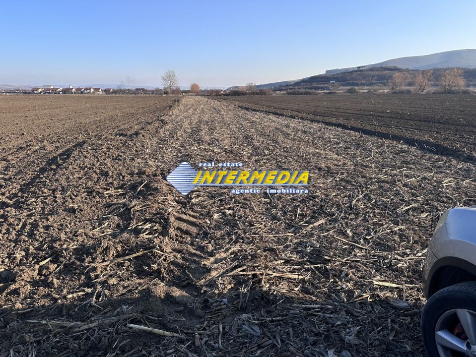 Teren intravilan de vanzare in Sard suprafete 600-800 mp – fotografia 4 din 5