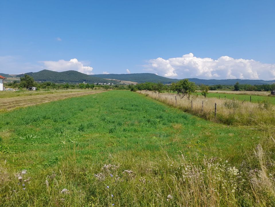 Teren 2997mp,INTRAVILAN,zona RUSU BARGAULUI – fotografia 1 din 1