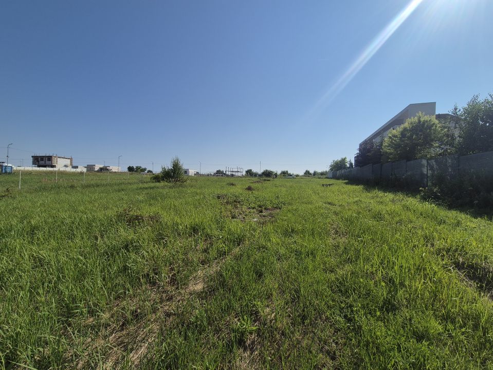 Izvorani - Teren cu deschidere generoasă la lacul Snagov – fotografia 7 din 9
