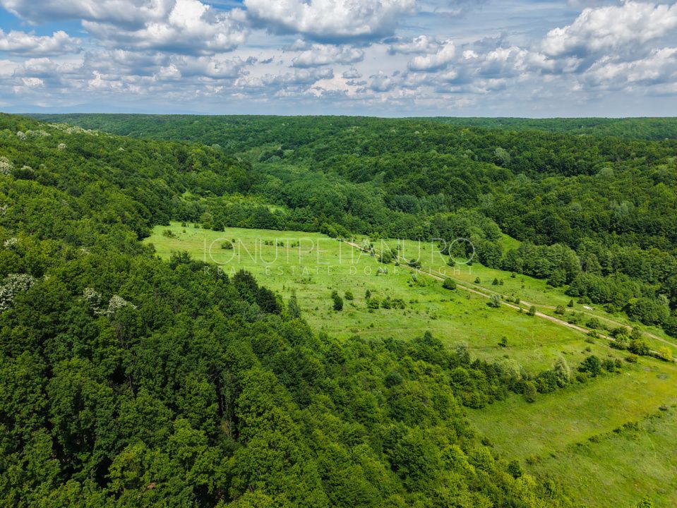 Teren Pasune + Arabil - Valea Mare Podgoria Arges – fotografia 15 din 29
