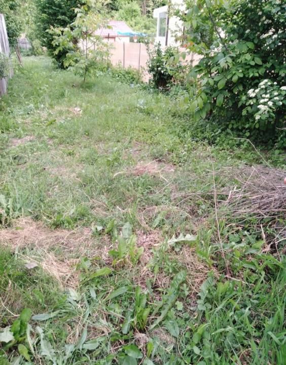 Teren 2500 mp intravilan Smeura – cadru natural, pârâu pe proprietate, utilități – fotografia 5 din 9
