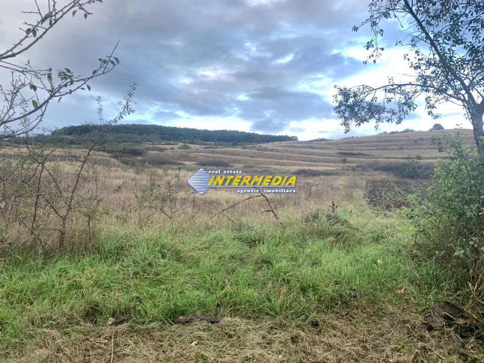 Teren intravilan de vanzare 1248 mp d=15 mTeleac cu utilitati panorama deosebita – fotografia 2 din 4
