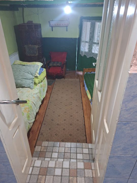 Casă în Cricău cu 1.375 mp teren, anexe, utilități, vie și livadă - Oportunitate – fotografia 51 din 54