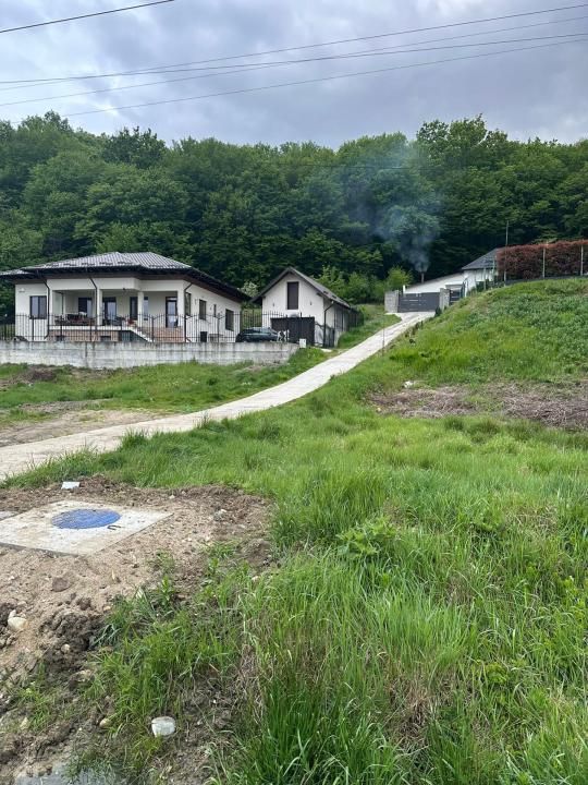 TEREN PREMIUM CU VEDERE SPECTACULOASA LA LIZIERA PADURII | BASCOV | 807 MP | – fotografia 1 din 6