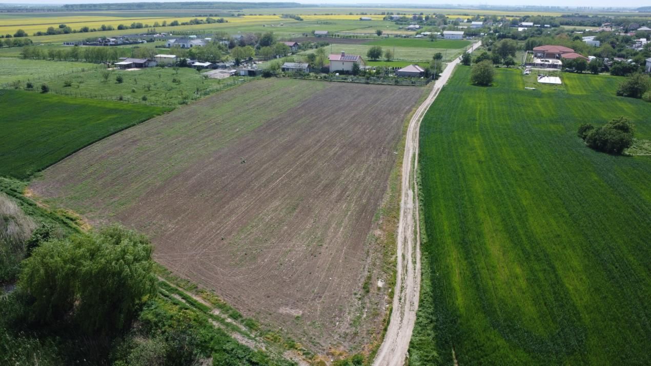 Oportunitate Investiție:10.400mp pe Malul Lacului Creața(posibilitate parcelare) – fotografia 11 din 16