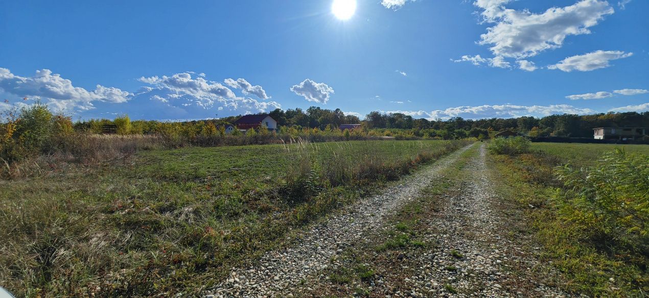 Teren intravilan 2822 mp de liniste in Cocani langa padure – fotografia 10 din 12