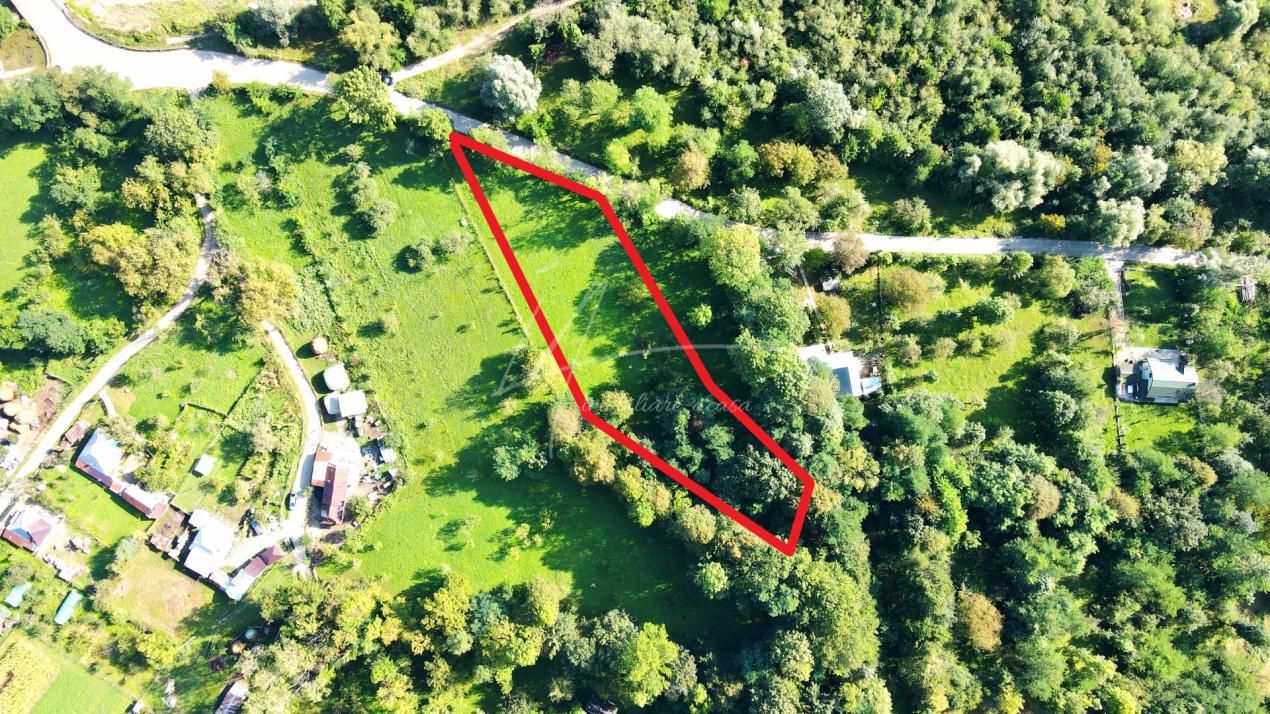 TEREN IN SUPRFATA DE 2870 MP IN PROVITA DE SUS VALEA BRADULUI JUD PRAHOVA – fotografia 6 din 16