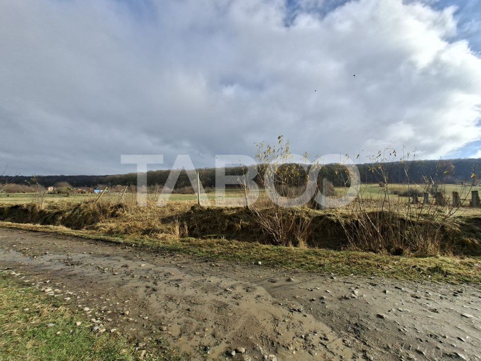 Teren intravilan de vanzare in Rasinari zona Calinis - 890 mp – fotografia 5 din 6