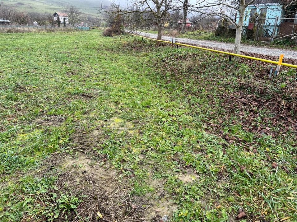 Teren intravilan 2402 mp, cu utilitati, zona Sopor/Borhanci – fotografia 2 din 3