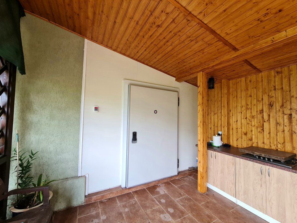 Vila + Afacere 15.000mp Clinceni – fotografia 8 din 31