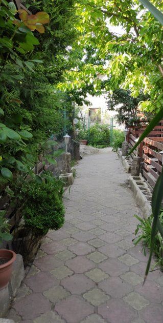 Duplex 5 Camere Clinceni – fotografia 15 din 20