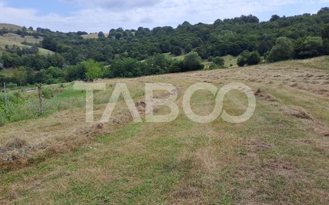 Teren de vanzare langa padure 15600 mp in Hamba Sibiu