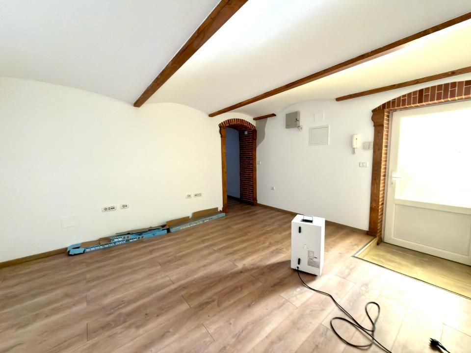 Apartament 7 camere, 3 bai, parter, 156 mp utili - Zona Iosefin – fotografia 17 din 26