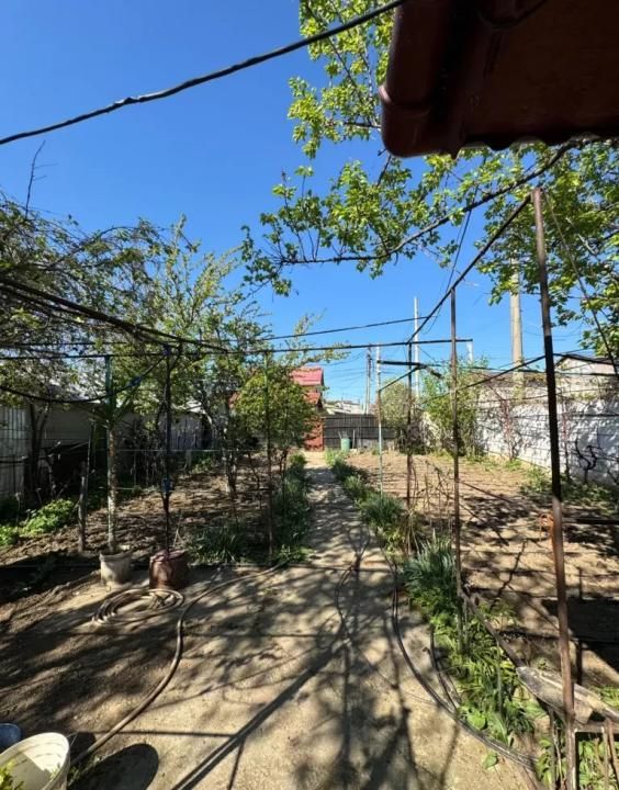 Teren de vanzare | 23 August (Catelul) | Suprafata 360 mp | Com 0% | – fotografia 3 din 6