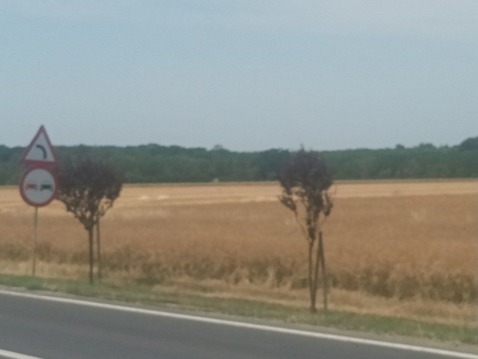 Teren Vanzare Intravilan Branesti investitie Zona Industriala Makita – fotografia 28 din 35