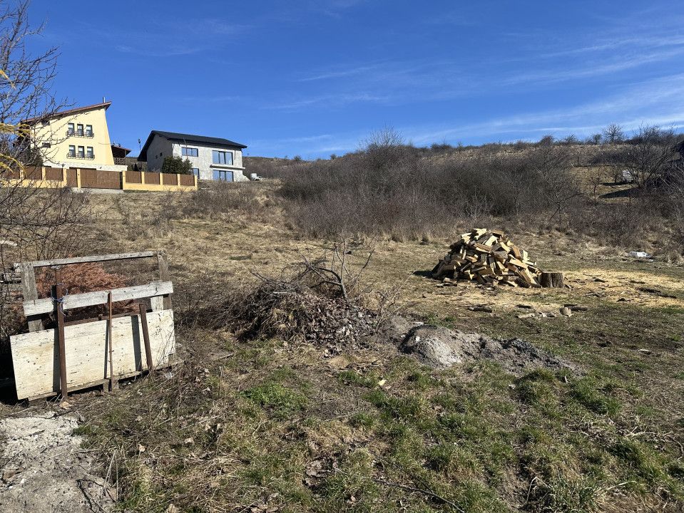 Teren pentru constructie Chinteni, zona Lacurilor front la 2 strazi – fotografia 4 din 7