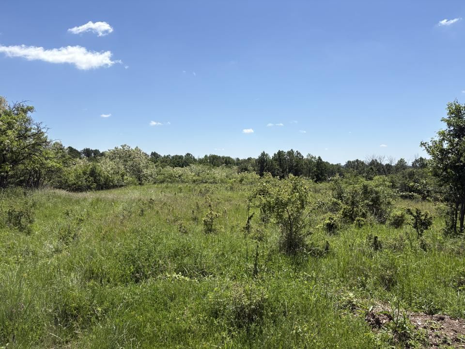Intravilan 3015 mp Moșoaia | 48 ml deschidere | Lângă pădure – fotografia 7 din 7
