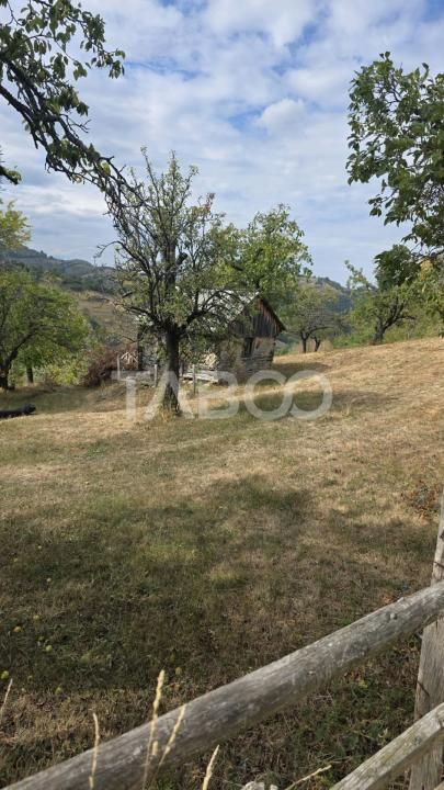 Teren de vanzare 8.300 mp Plesi Loman judetul Alba – fotografia 5 din 10