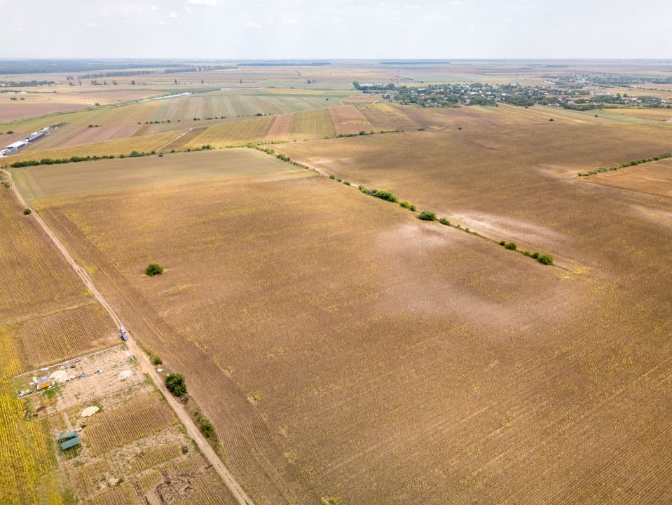 DASCALU – TEREN INTRAVILAN 11300 MP, INVESTITIE! – fotografia 6 din 18