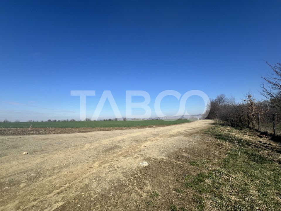 Teren intravilan 2000 mp cu utilitati in apropiere Comuna Dragus – fotografia 4 din 4