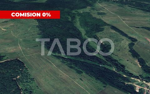 Padure de vanzare 127.000mp langa Mag in judetul Sibiu