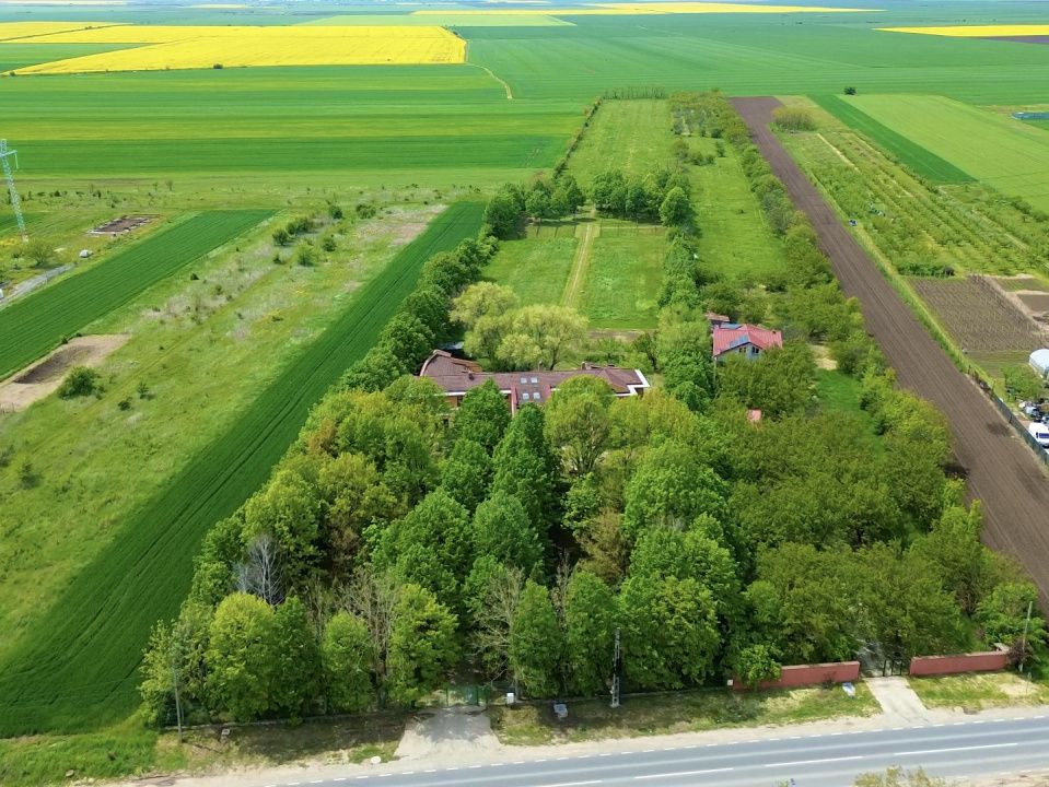 Vila pe domeniu de 8.000 mp | proiect de retreat cu cazare – fotografia 4 din 40