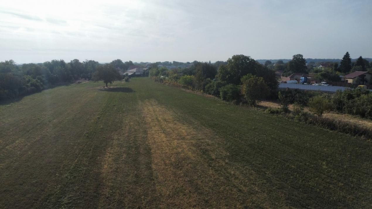 Dascălu -Teren intravilan arabil 7.182 mp – fotografia 10 din 13